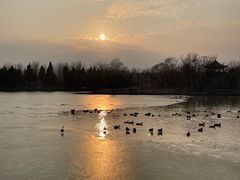 -盐城丹顶鹤湿地生态旅游区