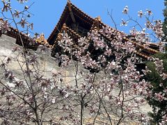 -东华门大街小区