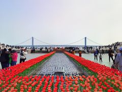 -星海湾跨海大桥