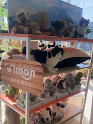 -IMON·HANSA潮玩玩偶毛绒玩具(通州万象汇店)
