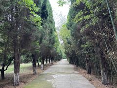 -函谷关历史文化旅游区