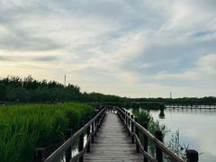 -西青郊野公园