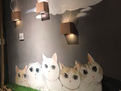 -喵园·猫主题咖啡厅·撸猫·猫咖(国贸店)