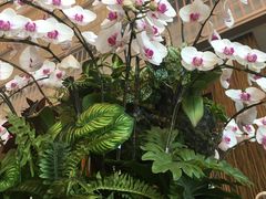 -上海虹桥西郊假日酒店