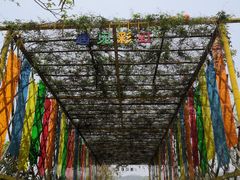 -天适樱花悠乐园