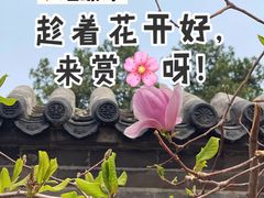-红螺寺