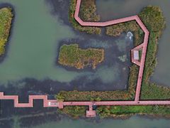 -芒洲湿地公园