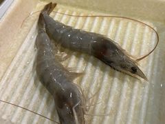 -拾也•和牛•海鲜•烤肉放题(卓悦INTOWN店)