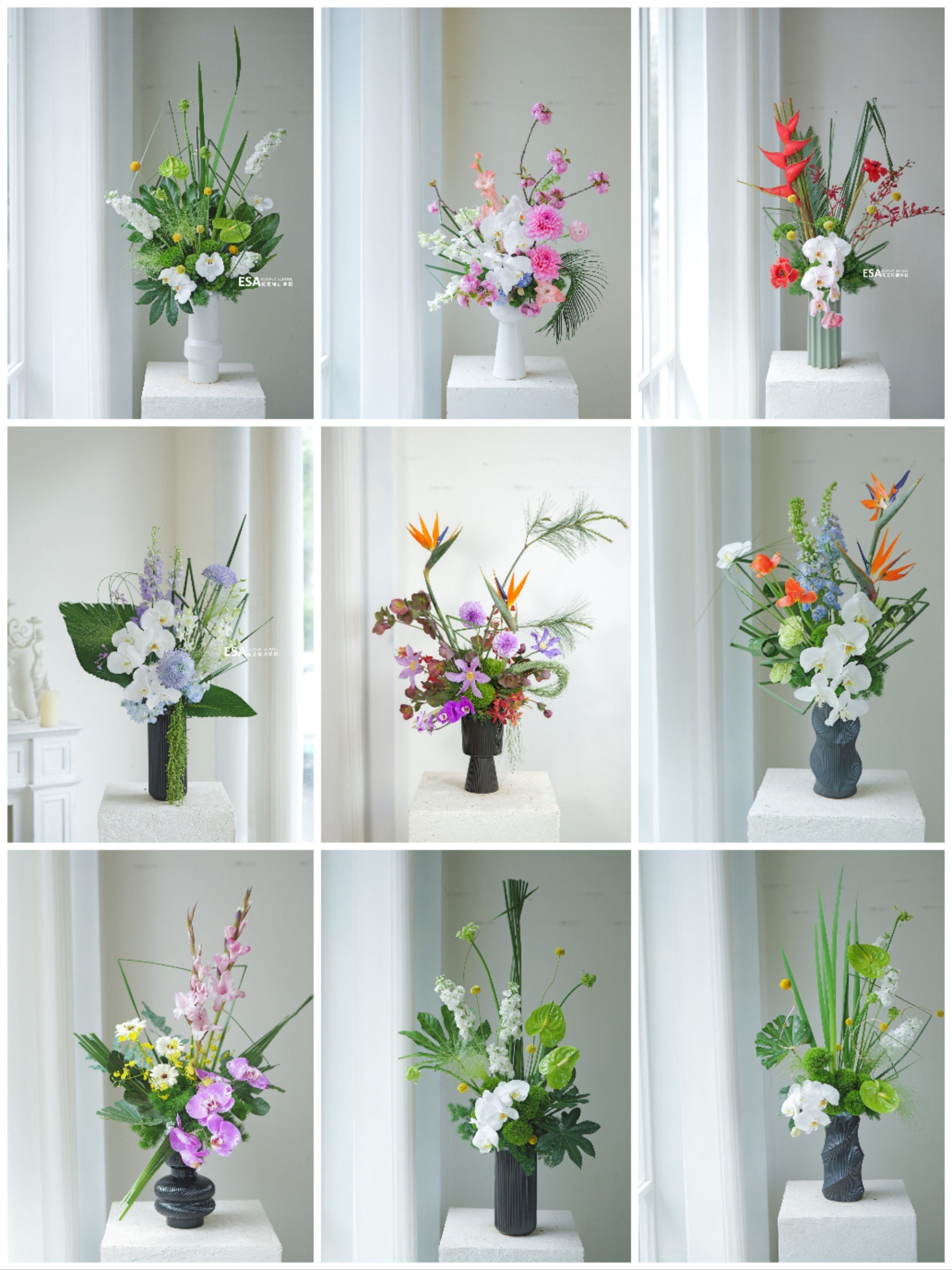 企业前台花 一周一花 花艺设计 空间花艺