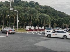 -野狸岛