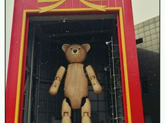 -济州岛泰迪熊博物馆