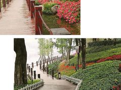 -重庆彩云湖湿地公园