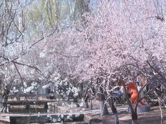 -三里河公园