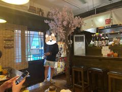 -金龙咖喱