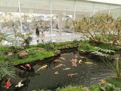 -罗红摄影艺术馆