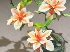 -满堂匠心川宴·私房菜(天府三街店)