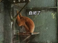 -南宁市动物园
