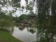 -邓小平故里