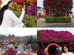 -东莞植物园