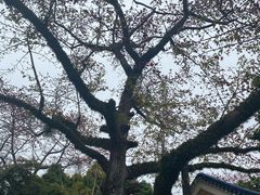 -广州中山纪念堂