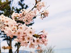 -猫头山