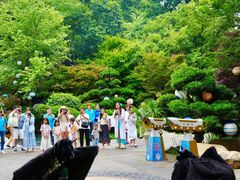 -七彩云南古滇温泉山庄