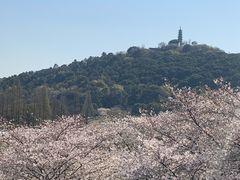 -苏州上方山国家森林公园