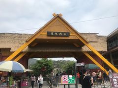 -清境桃源