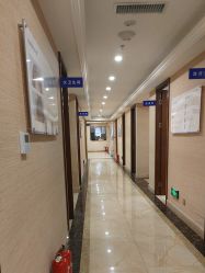 -碧莲盛·不剃发植发