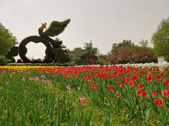 -国家植物园南园