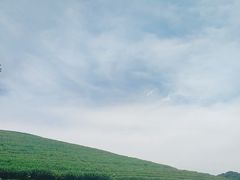 -听风阁农家私房菜茶楼(龙坞店)