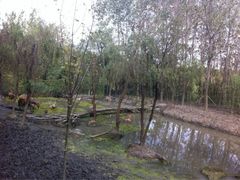 iphone_upload_pic-溱湖国家湿地公园