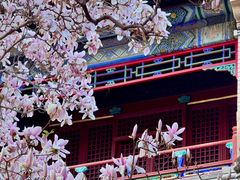 -潭柘寺景区