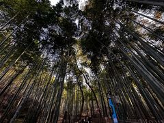 -杭州黄龙洞