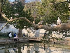 -西园戒幢律寺