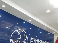 -芭比堂动物医院·24小时·眼科中心(深圳中心)