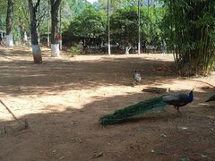 -昆明动物园