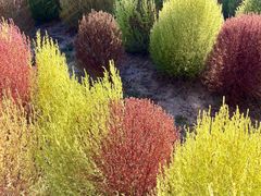 -野鸭湖国家湿地公园