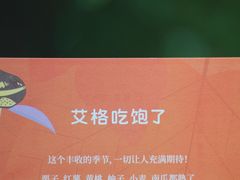 艾格吃饱了秋日果子礼盒-盒马鲜生(龙德广场店)