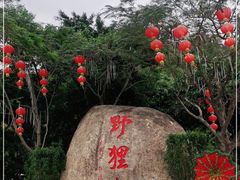 -野狸岛