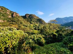 -大岭沟猕猴桃谷风景区
