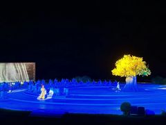 -鼎盛王朝康熙大典实景演出