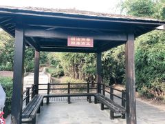 -九龙潭景区