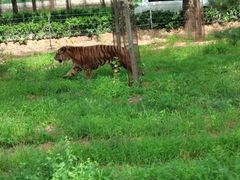 -秦皇岛野生动物园