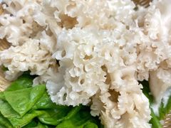 绣球菌-菌子鲜汤野生菌锅