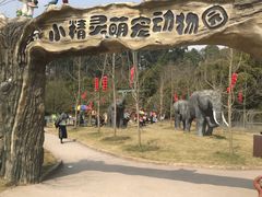 -都江堰玫瑰花溪谷