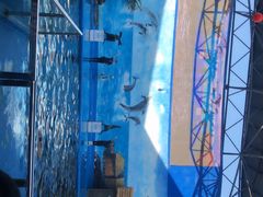 -石林冰雪海洋世界