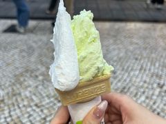 -柠檬车露(卖草地店)