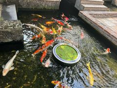 -馨园villa融合菜(东山店)