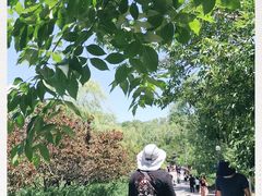 -奥林匹克森林公园南门-停车场